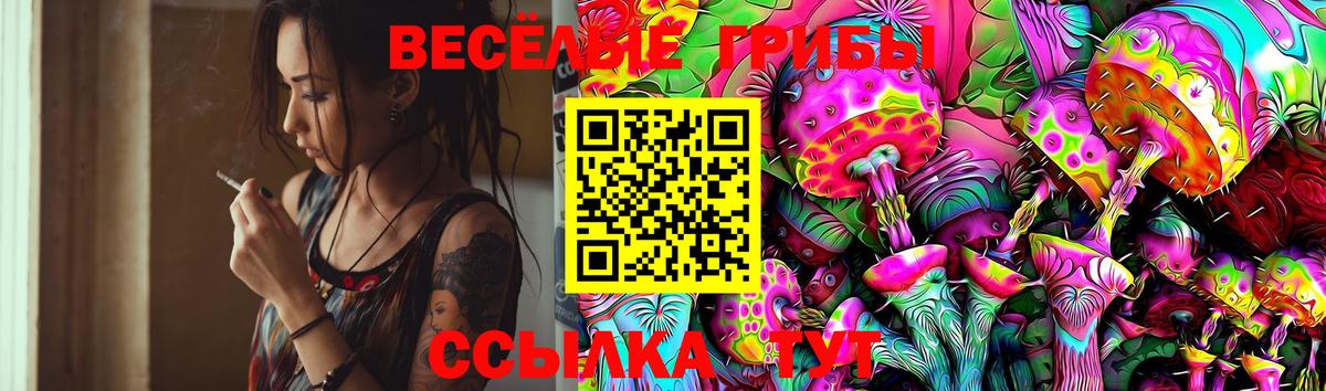 Советск  Галлюциногенные грибы Psilocybine cubensis  Вход с VPN  Галлюциногенные грибы Psilocybe 