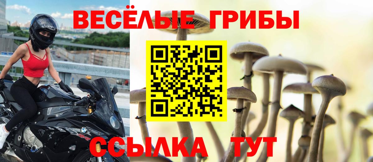 ГАШИШ  A-PVP СОЛЬ кристаллы  Меф МЯУ МЯУ кристаллы  COCAIN  НБОМе  Советск  Вход с VPN  Мефедрон  МАРИХУАНА 